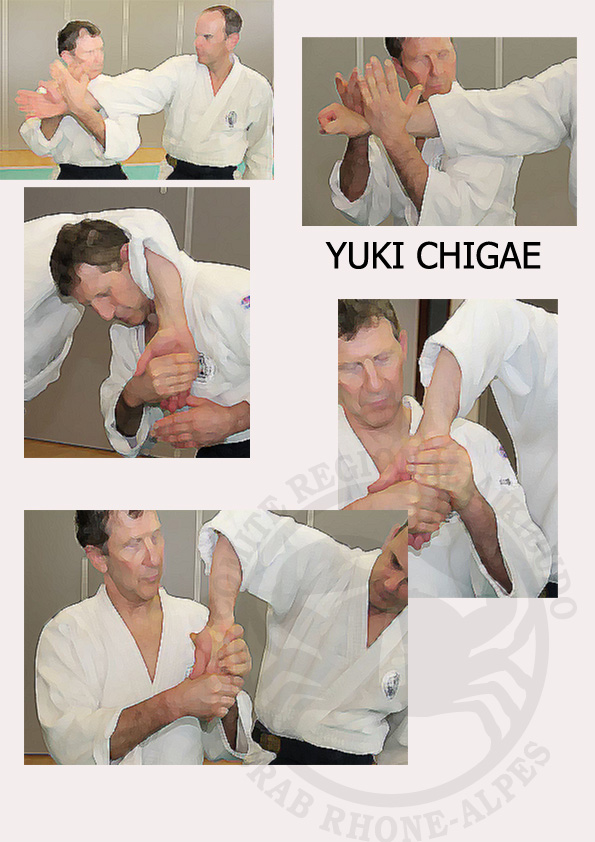 Yuki chigae